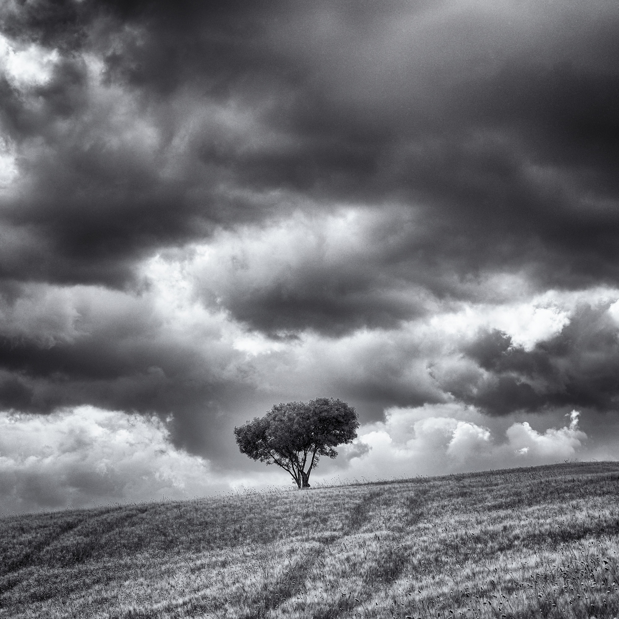 m.v.dulmen Upload image Boom Masters Of Photography