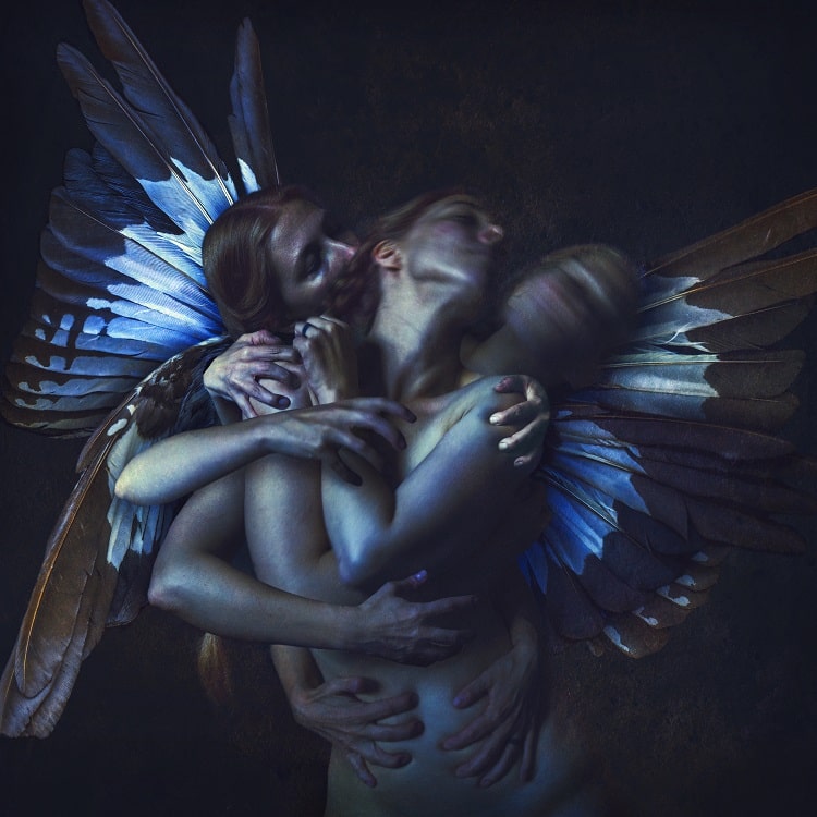 shaden_anteros