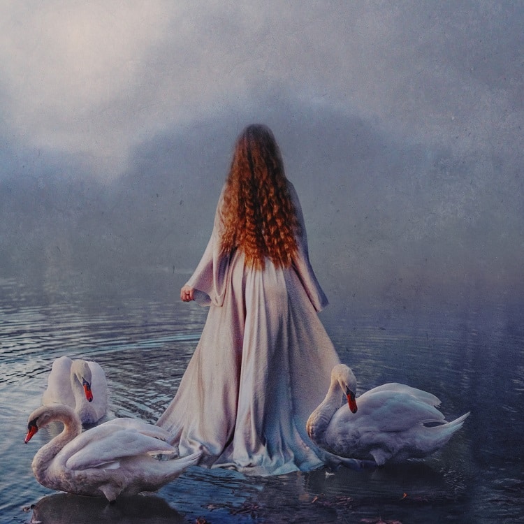 shaden_in_a_faraway_place