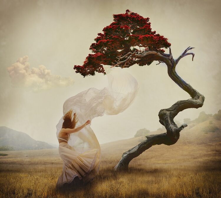 Through Their Lens – Brooke Shaden