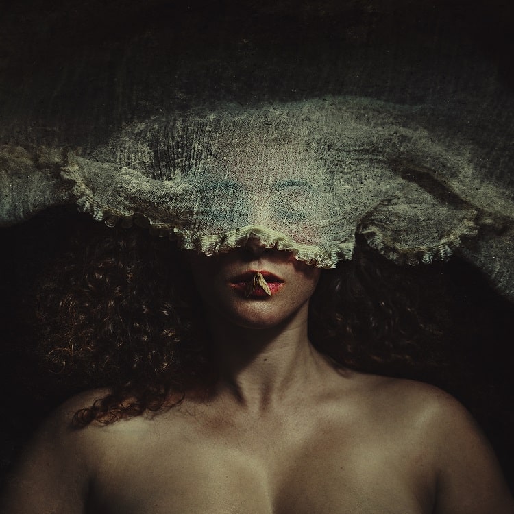shaden_whispered_wings
