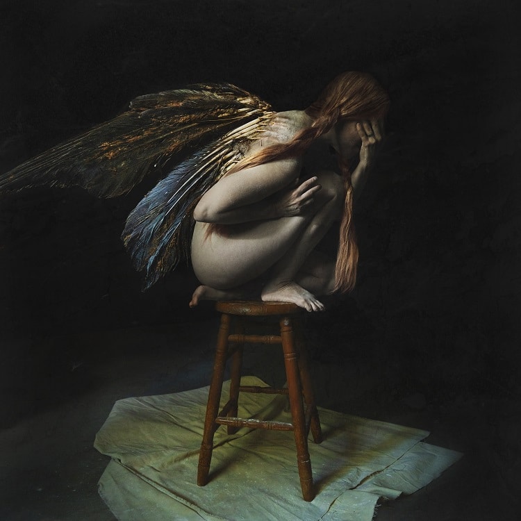 shaden_wings_will_always_try_to_fly