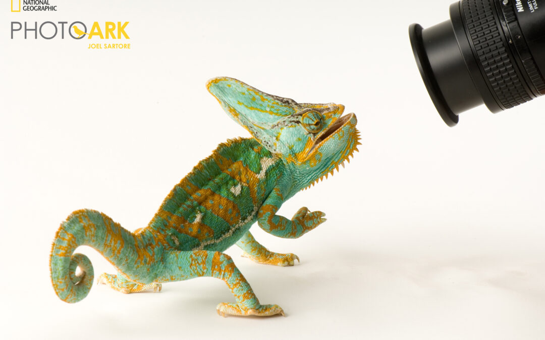 Through Their Lens – Joel Sartore