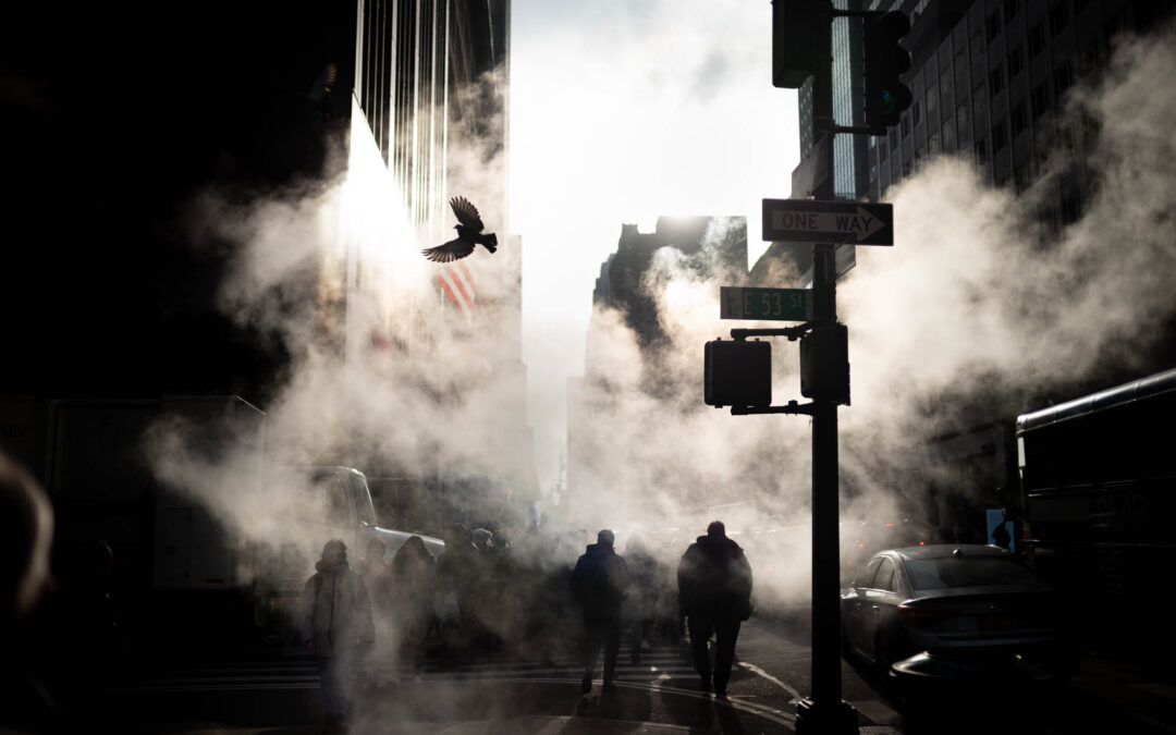 Through Their Lens – Phil Penman
